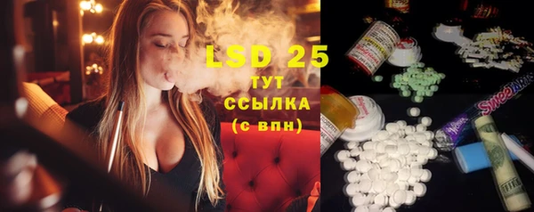 винт Лагань
