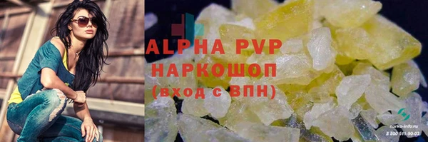 стаф Ладушкин