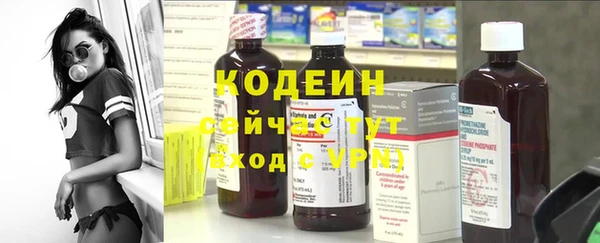 винт Лагань