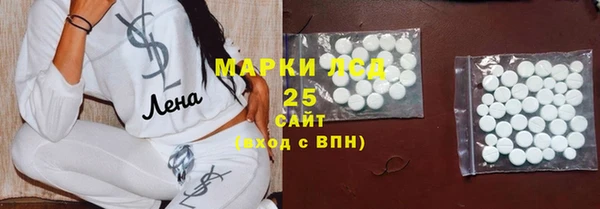 винт Лагань