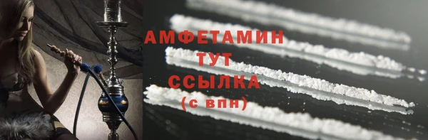 индика Кулебаки