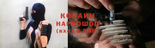 стаф Ладушкин