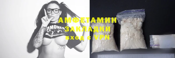винт Лагань