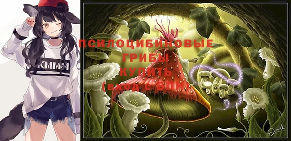 стаф Ладушкин