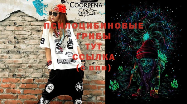 винт Лагань