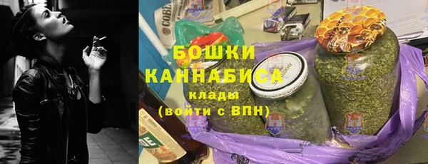стаф Ладушкин