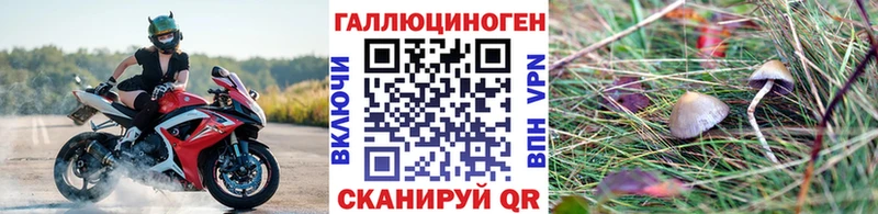 Галлюциногенные грибы прущие грибы  Купить  Благовещенск 
